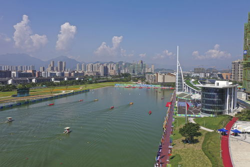 群眾比賽龍舟決賽溫州開賽，展現(xiàn)傳統(tǒng)體育魅力