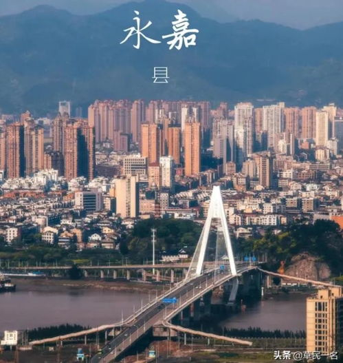 溫州第五區爭奪戰 永嘉、瑞安、樂清，誰更具優勢？